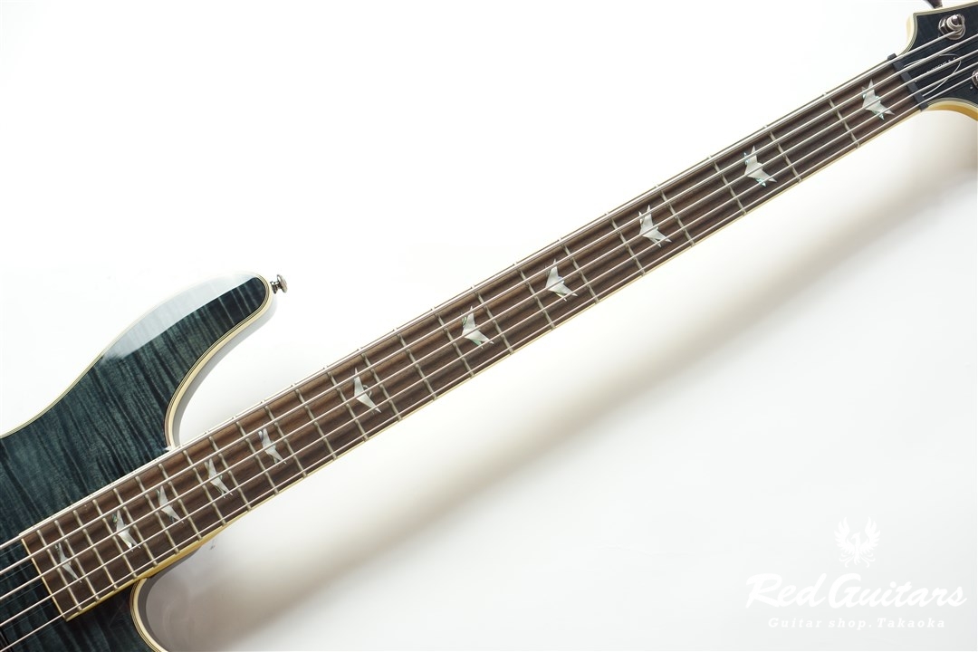 SCHECTER シェクター Omen Extreme-5st [AD-OM-EXT-5] / STBK【5